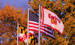 Maryland, American, and Ewing Oil flags